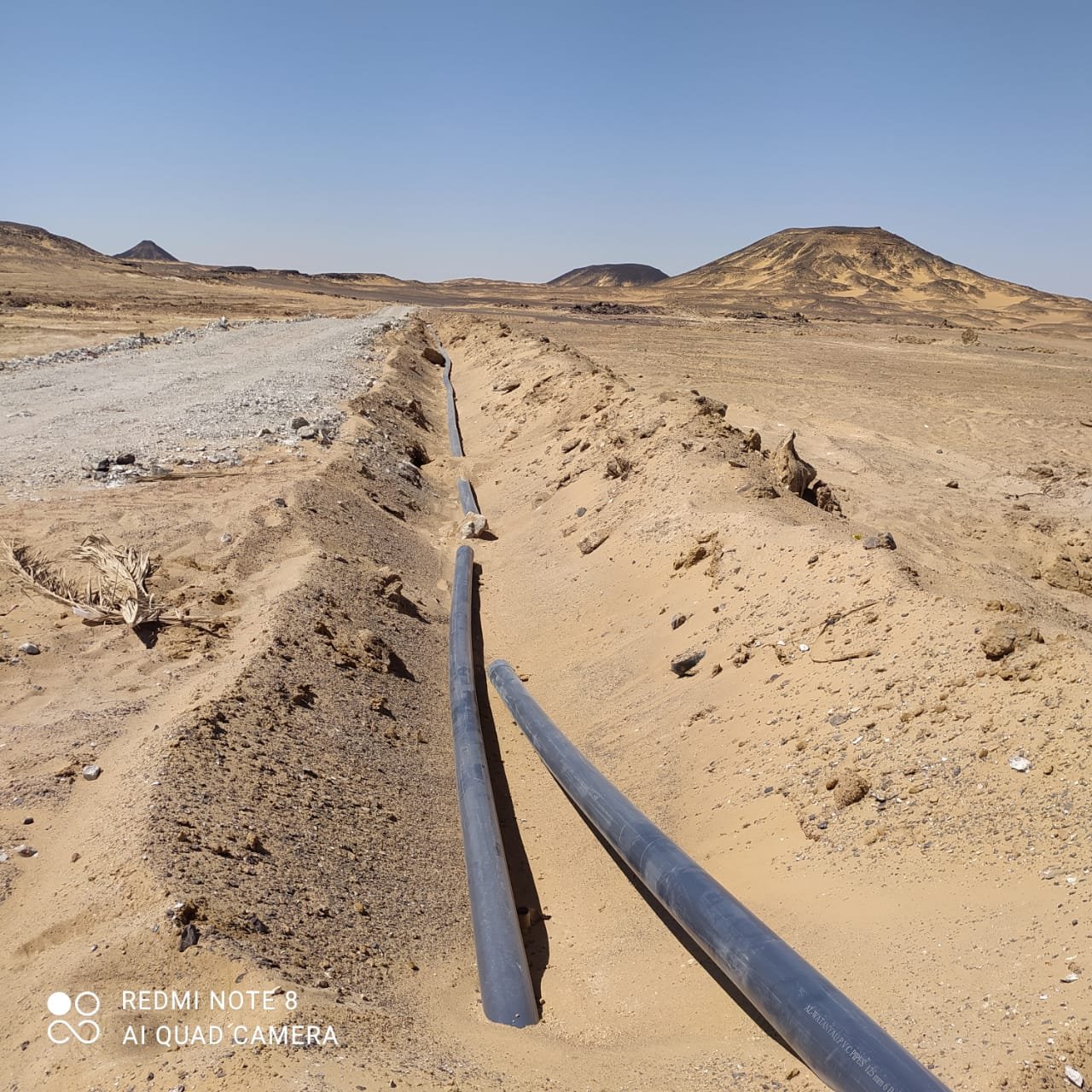 خطوات استصلاح الأراضي الصحراوية وتحويلها لمزارع منتجة بأساليب حديثة