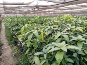 تعرف على أحدث تقنيات استصلاح الأراضي التي تساعد في رفع الإنتاج وتطوير المشروعات الزراعية وتحسين خصوبة التربة بشكل فعّال.