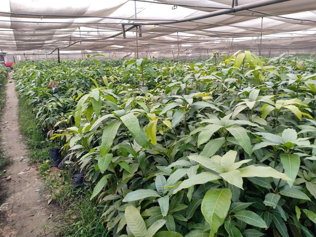 أفضل تقنيات استصلاح الأراضي الحديثة لتطوير المشروعات الزراعية وتحقيق إنتاج أعلى